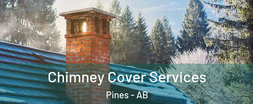 Chimney Cover Services Pines - AB