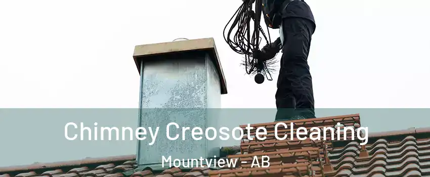 Chimney Creosote Cleaning Mountview - AB