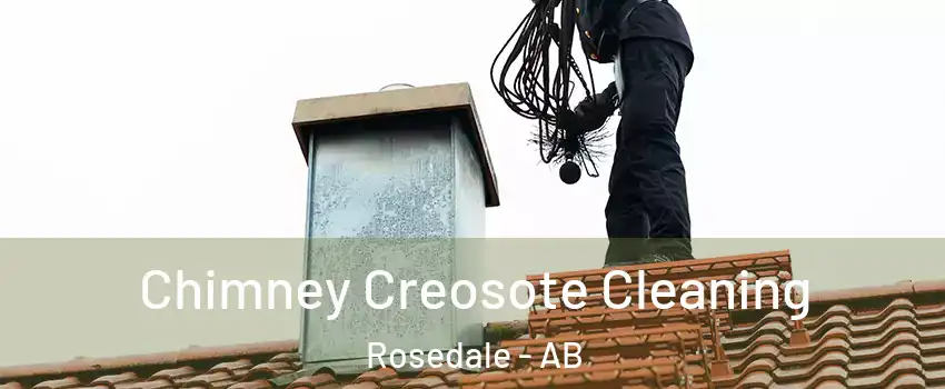  Chimney Creosote Cleaning Rosedale - AB