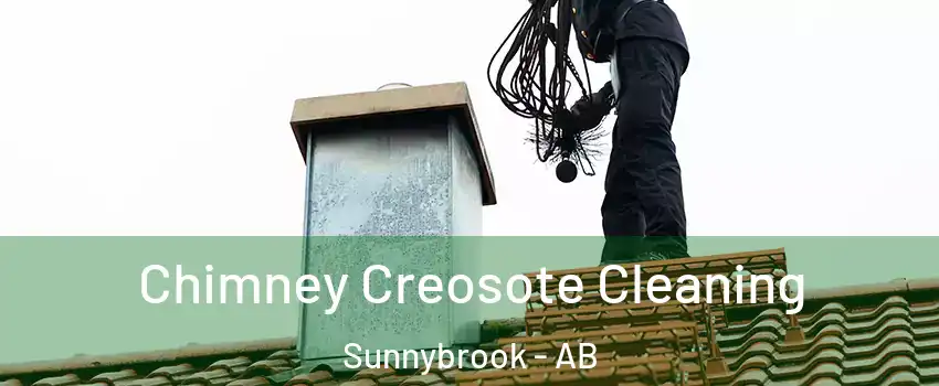 Chimney Creosote Cleaning Sunnybrook - AB