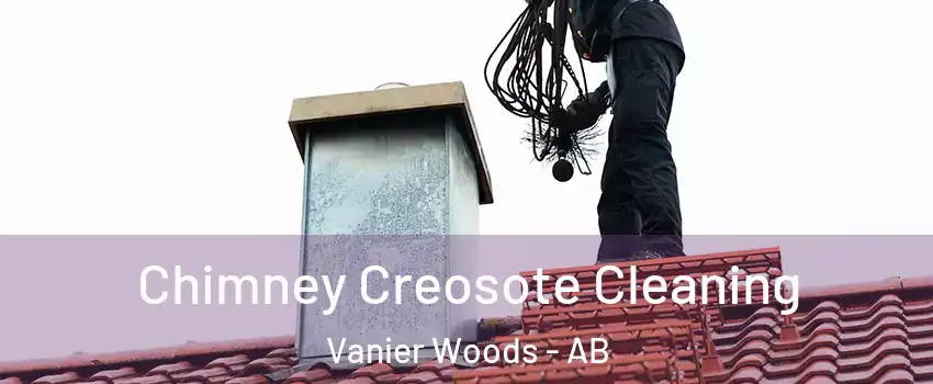 Chimney Creosote Cleaning Vanier Woods - AB