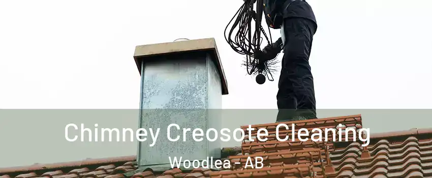  Chimney Creosote Cleaning Woodlea - AB