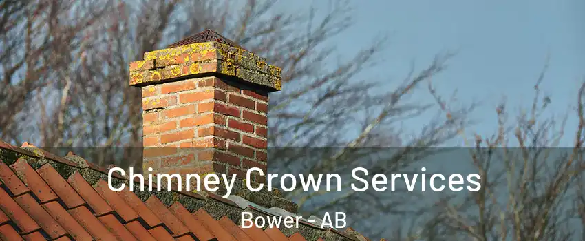  Chimney Crown Services Bower - AB