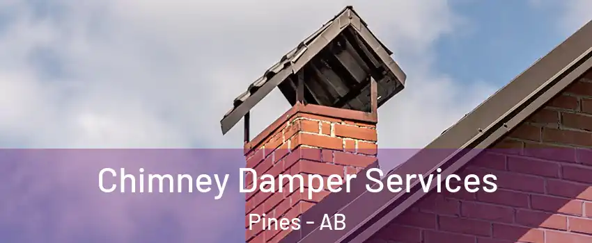  Chimney Damper Services Pines - AB