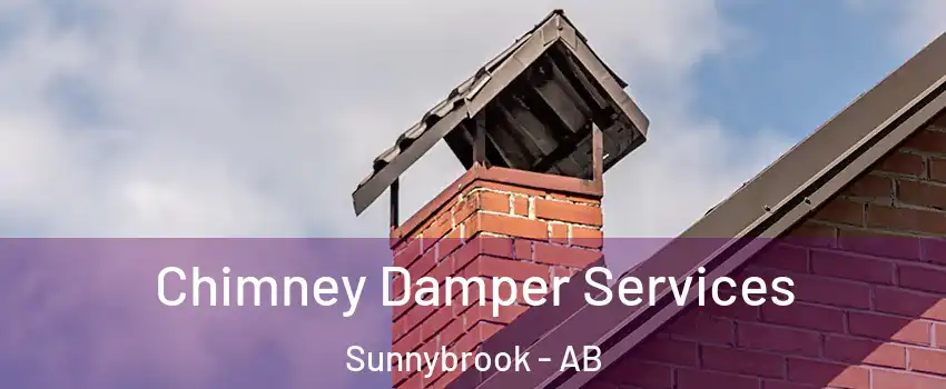  Chimney Damper Services Sunnybrook - AB
