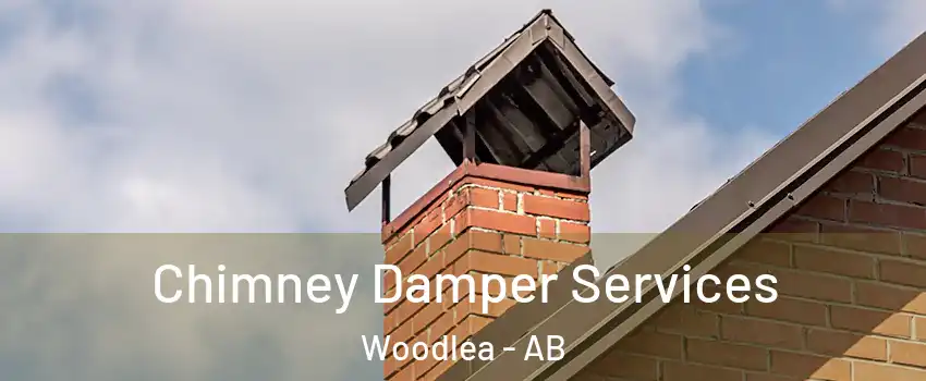 Chimney Damper Services Woodlea - AB