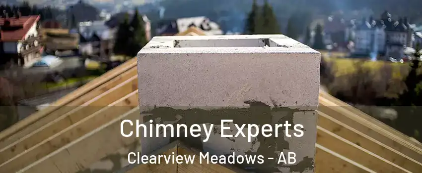 Chimney Experts Clearview Meadows - AB