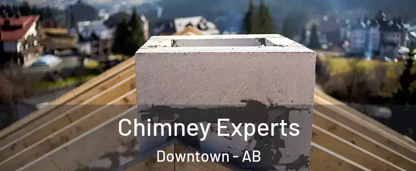  Chimney Experts Downtown - AB
