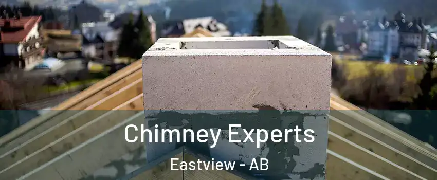 Chimney Experts Eastview - AB