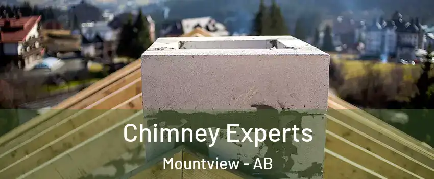 Chimney Experts Mountview - AB