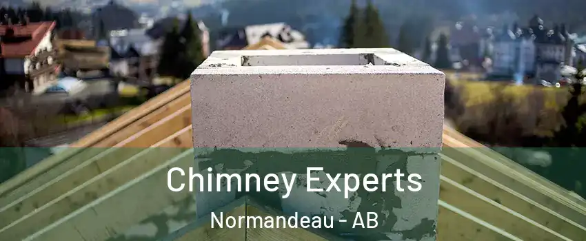  Chimney Experts Normandeau - AB