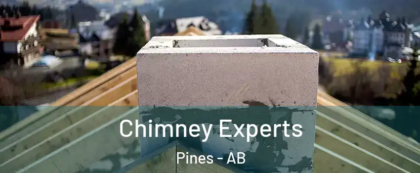 Chimney Experts Pines - AB