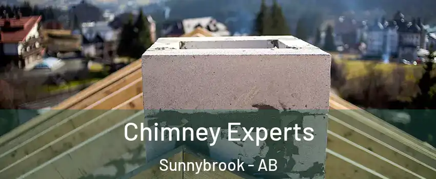 Chimney Experts Sunnybrook - AB