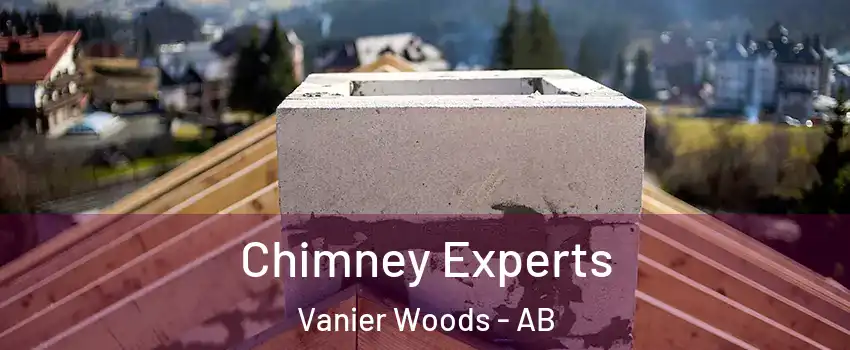  Chimney Experts Vanier Woods - AB