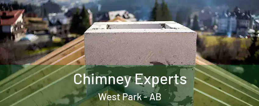  Chimney Experts West Park - AB