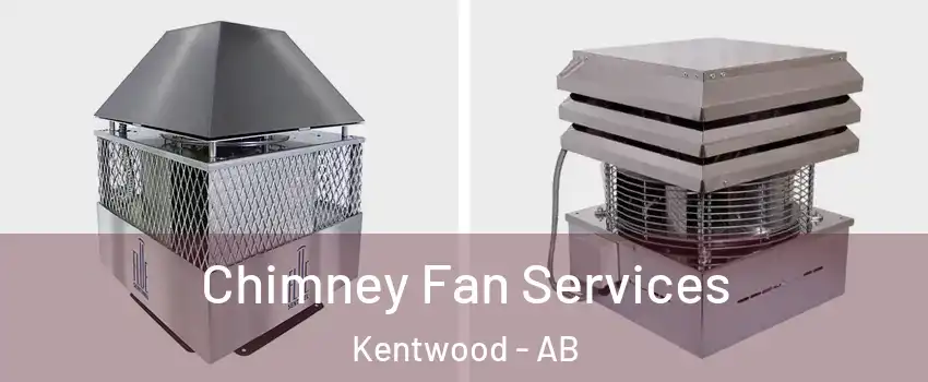Chimney Fan Services Kentwood - AB