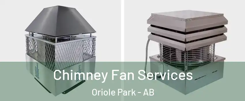  Chimney Fan Services Oriole Park - AB
