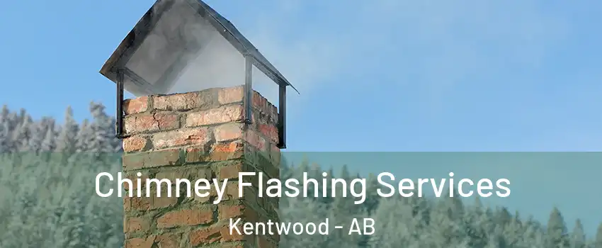 Chimney Flashing Services Kentwood - AB