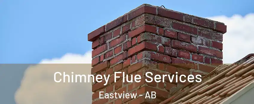 Chimney Flue Services Eastview - AB