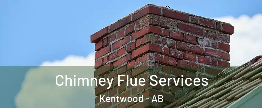 Chimney Flue Services Kentwood - AB