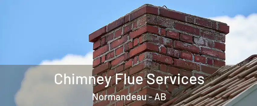Chimney Flue Services Normandeau - AB
