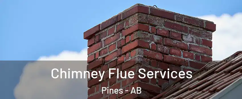 Chimney Flue Services Pines - AB