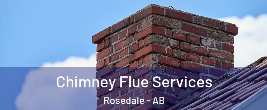  Chimney Flue Services Rosedale - AB