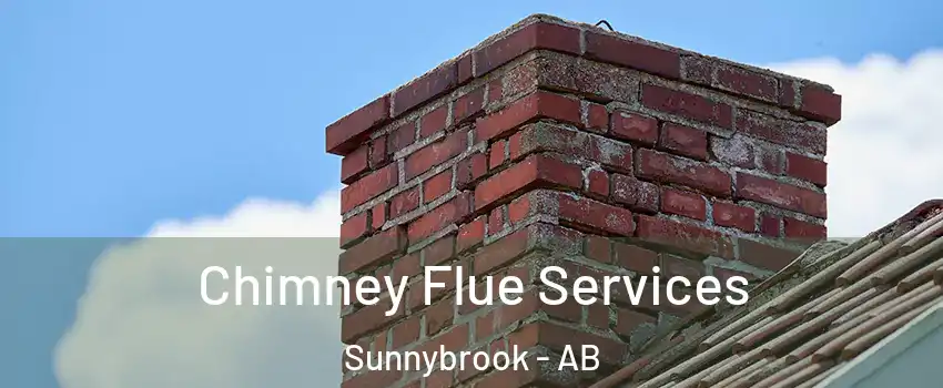 Chimney Flue Services Sunnybrook - AB