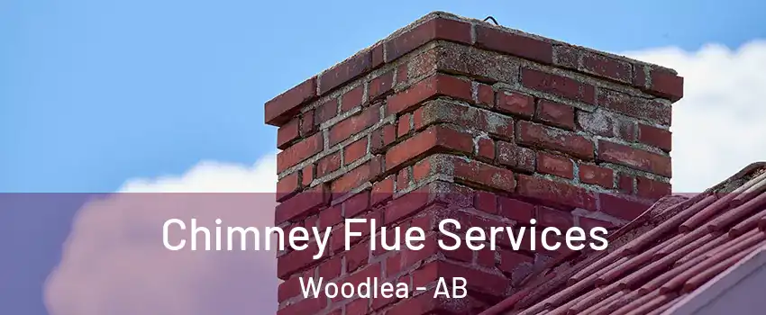  Chimney Flue Services Woodlea - AB