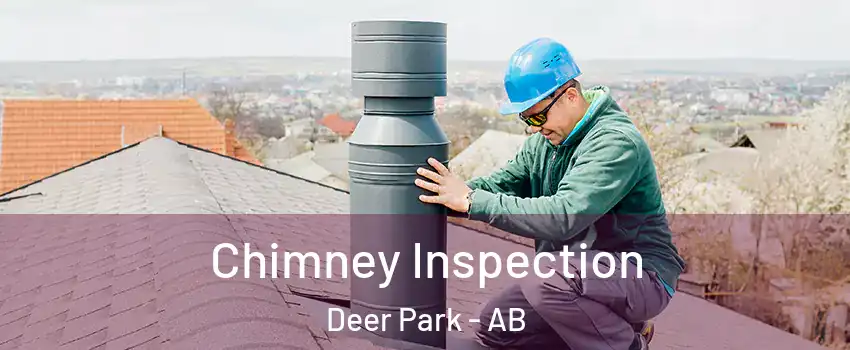  Chimney Inspection Deer Park - AB