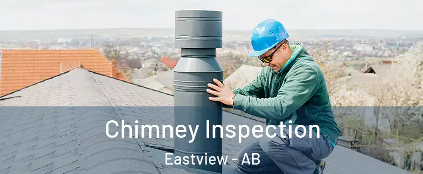  Chimney Inspection Eastview - AB
