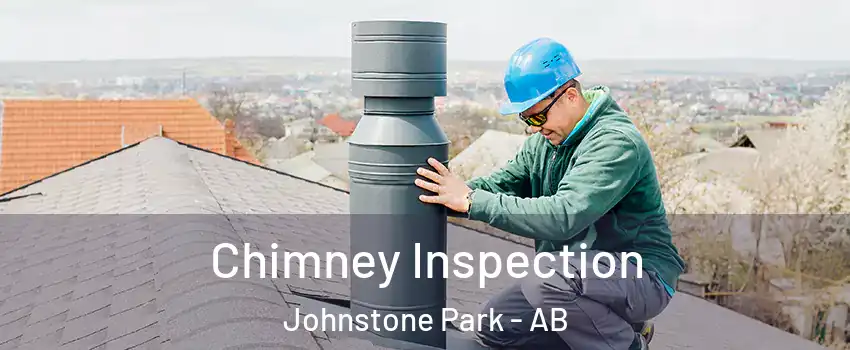  Chimney Inspection Johnstone Park - AB