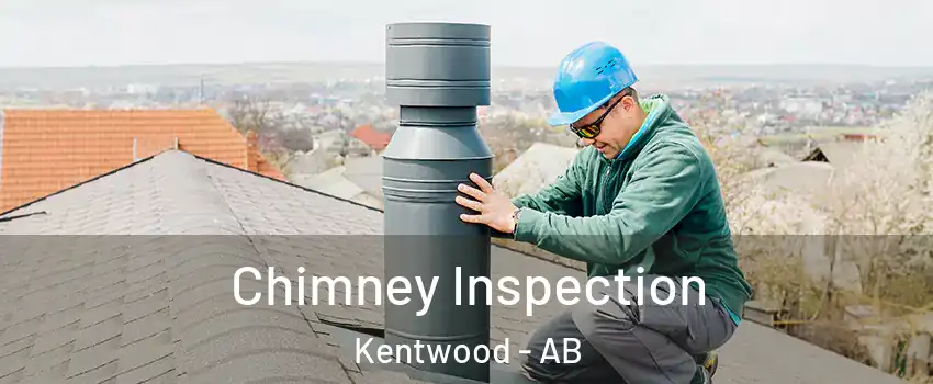 Chimney Inspection Kentwood - AB
