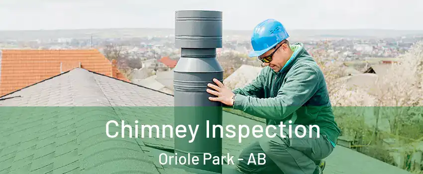Chimney Inspection Oriole Park - AB