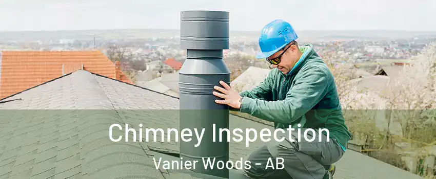 Chimney Inspection Vanier Woods - AB
