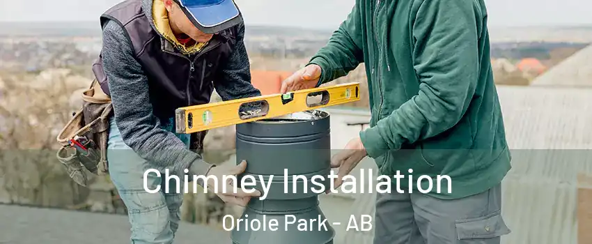  Chimney Installation Oriole Park - AB