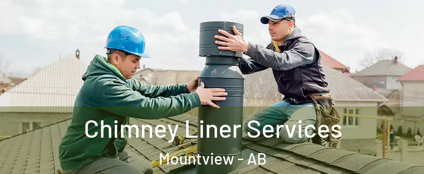 Chimney Liner Services Mountview - AB