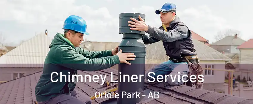Chimney Liner Services Oriole Park - AB