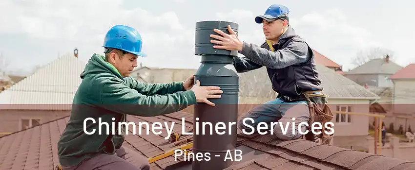 Chimney Liner Services Pines - AB