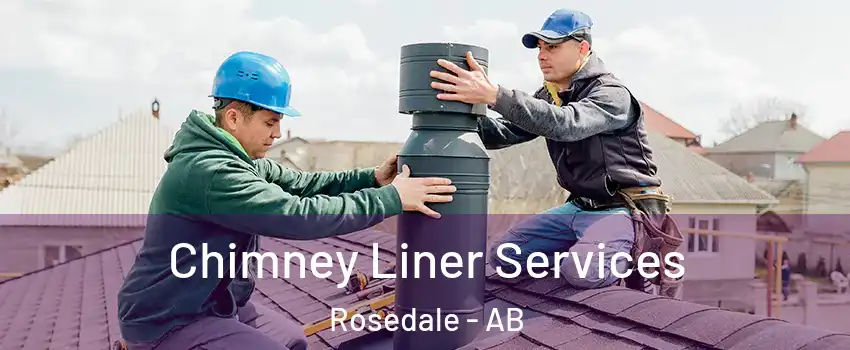 Chimney Liner Services Rosedale - AB