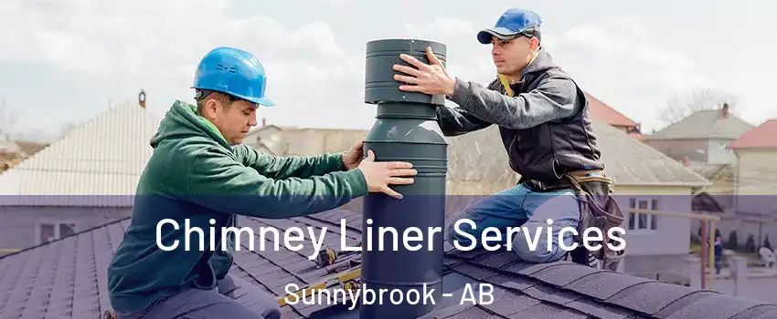 Chimney Liner Services Sunnybrook - AB