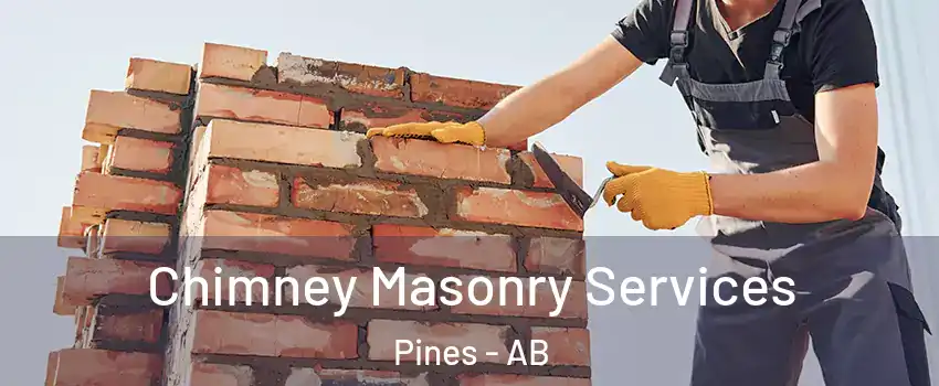 Chimney Masonry Services Pines - AB