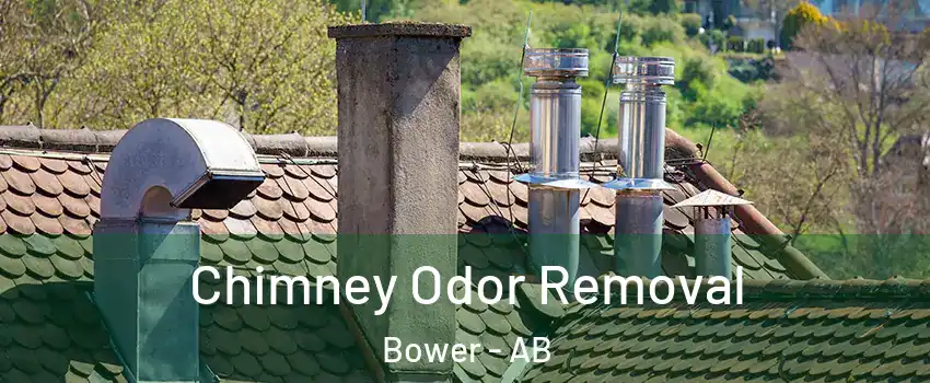  Chimney Odor Removal Bower - AB