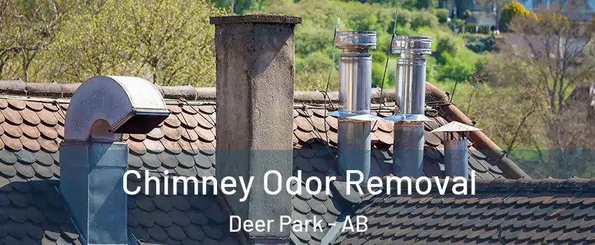 Chimney Odor Removal Deer Park - AB