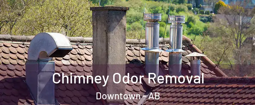 Chimney Odor Removal Downtown - AB