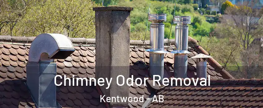Chimney Odor Removal Kentwood - AB