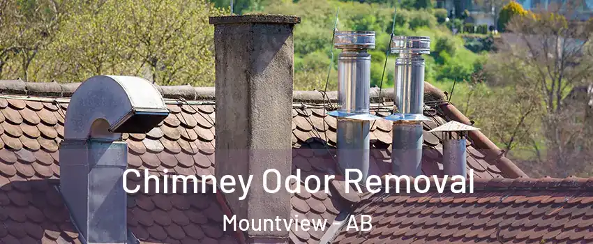 Chimney Odor Removal Mountview - AB