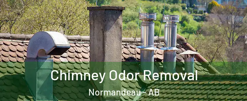 Chimney Odor Removal Normandeau - AB