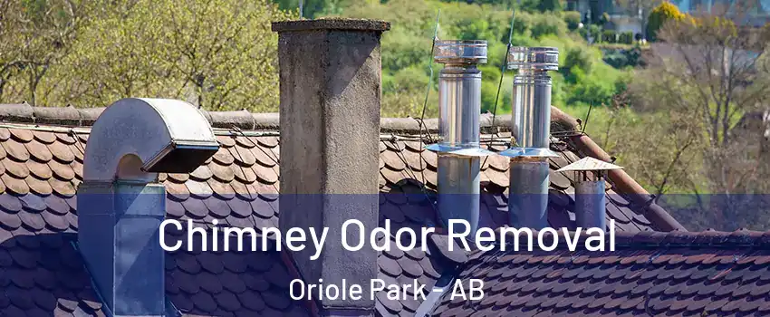  Chimney Odor Removal Oriole Park - AB