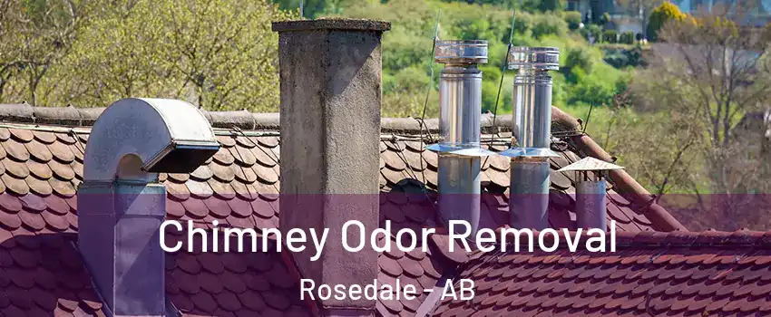Chimney Odor Removal Rosedale - AB